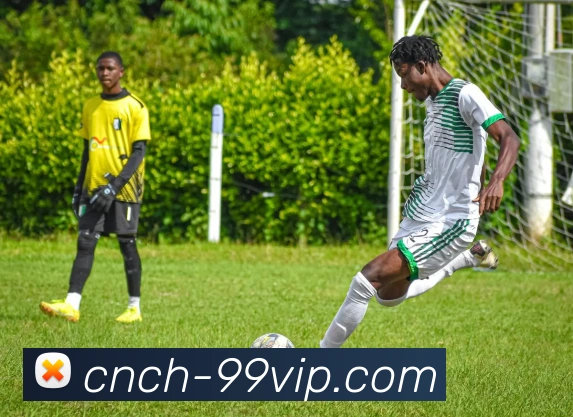 99贵宾会官网发展历程